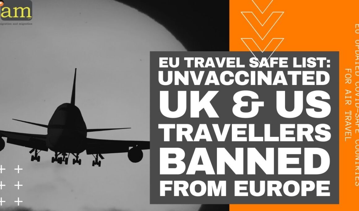 Visa ban appeal processes