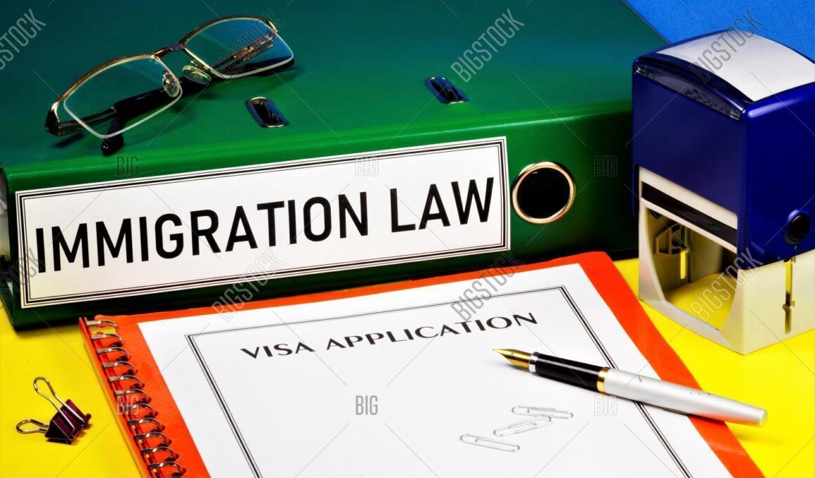 Immigration appeal lawyer cost