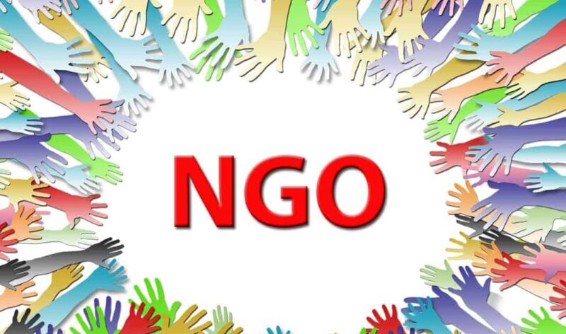 Best NGOs to Work