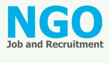 NGO Project Manager Jobs in Nigeria