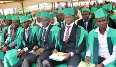 NGO jobs for fresh graduates in Nigeria